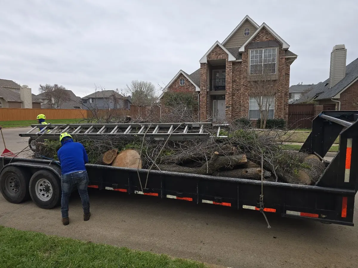 Expert Tree Removal with proper safety equipment in Outing